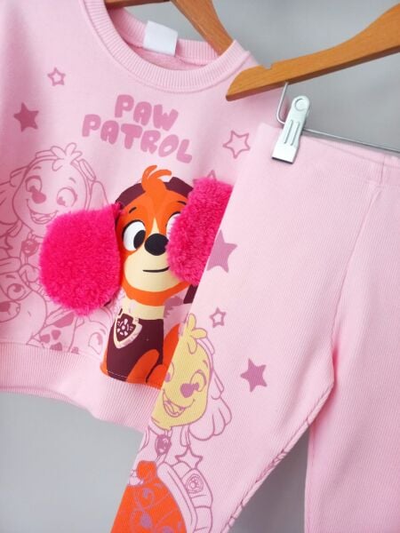 Paw patrol takım